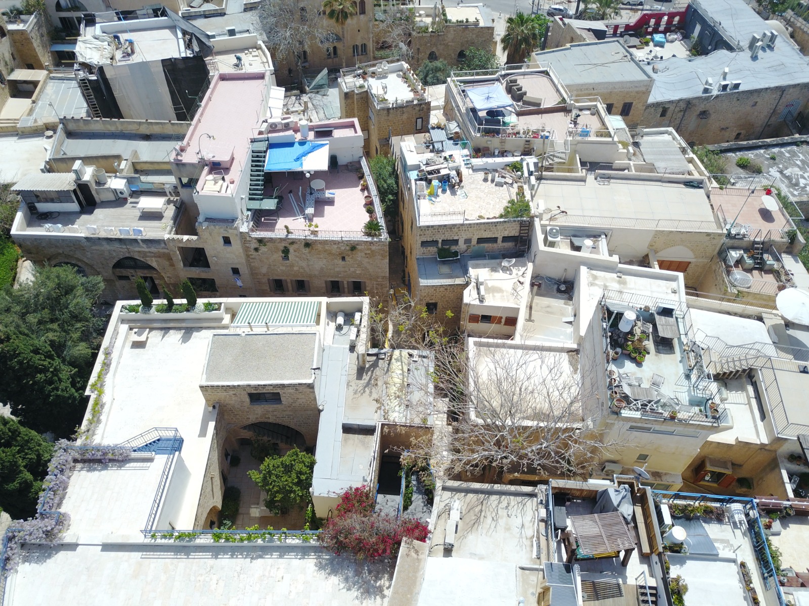 WhatsApp Image 2020-09-02 at 3.39.56 PM.jpeg.jpeg